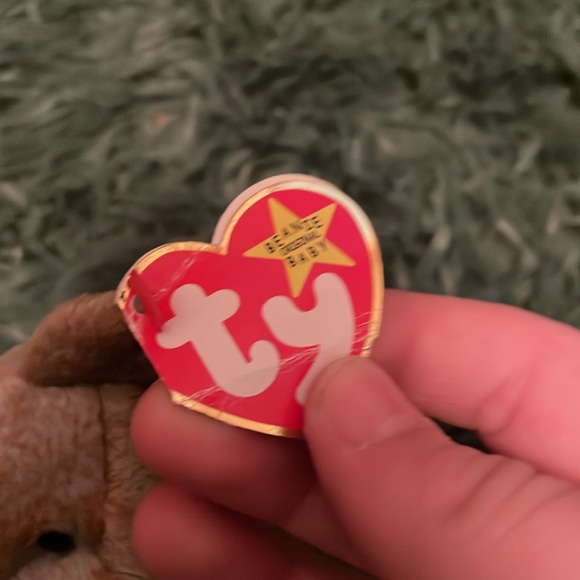 Brown bear - Picture 3 of 3